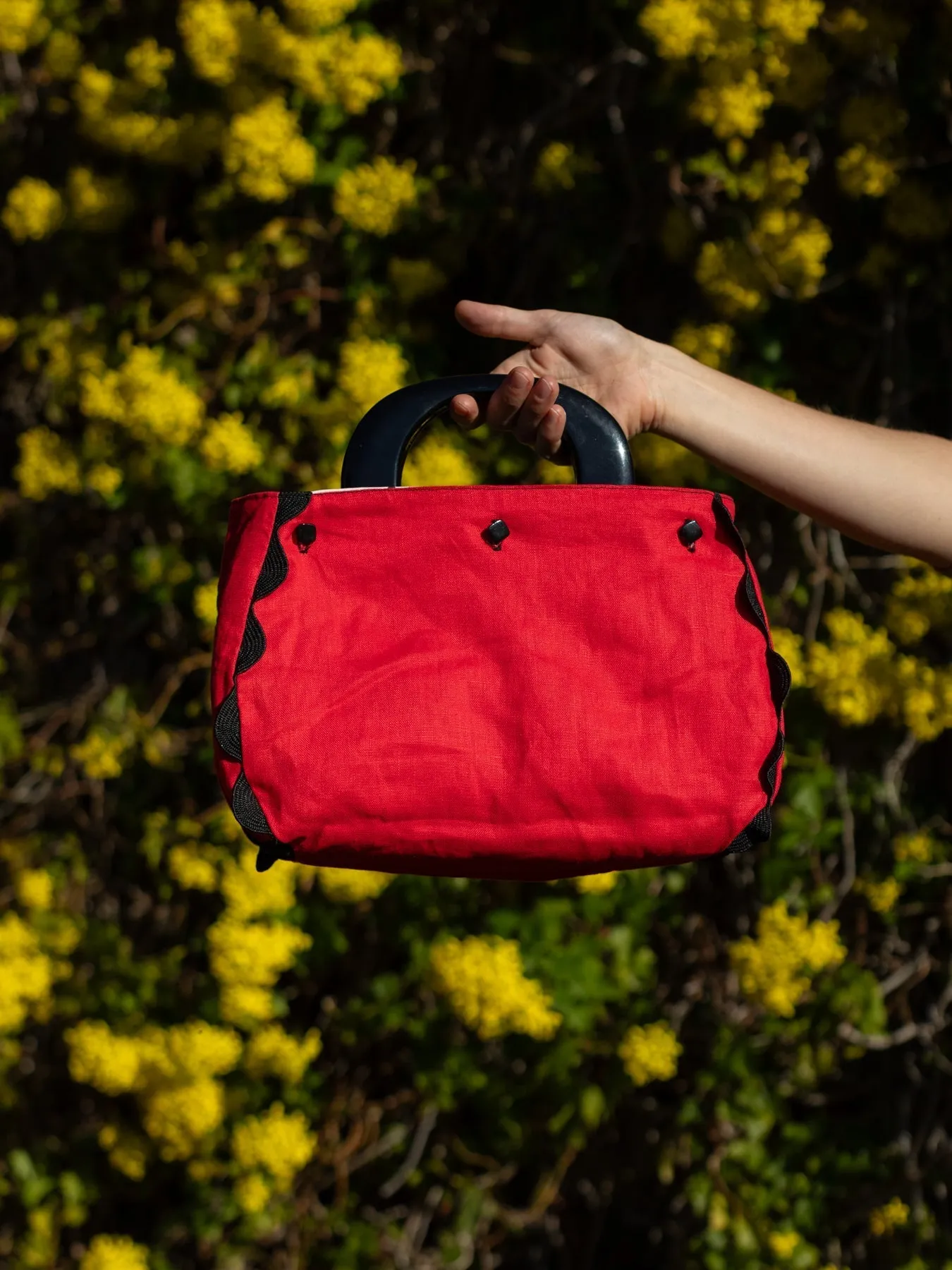 BAG COVER Birds & Solid Red