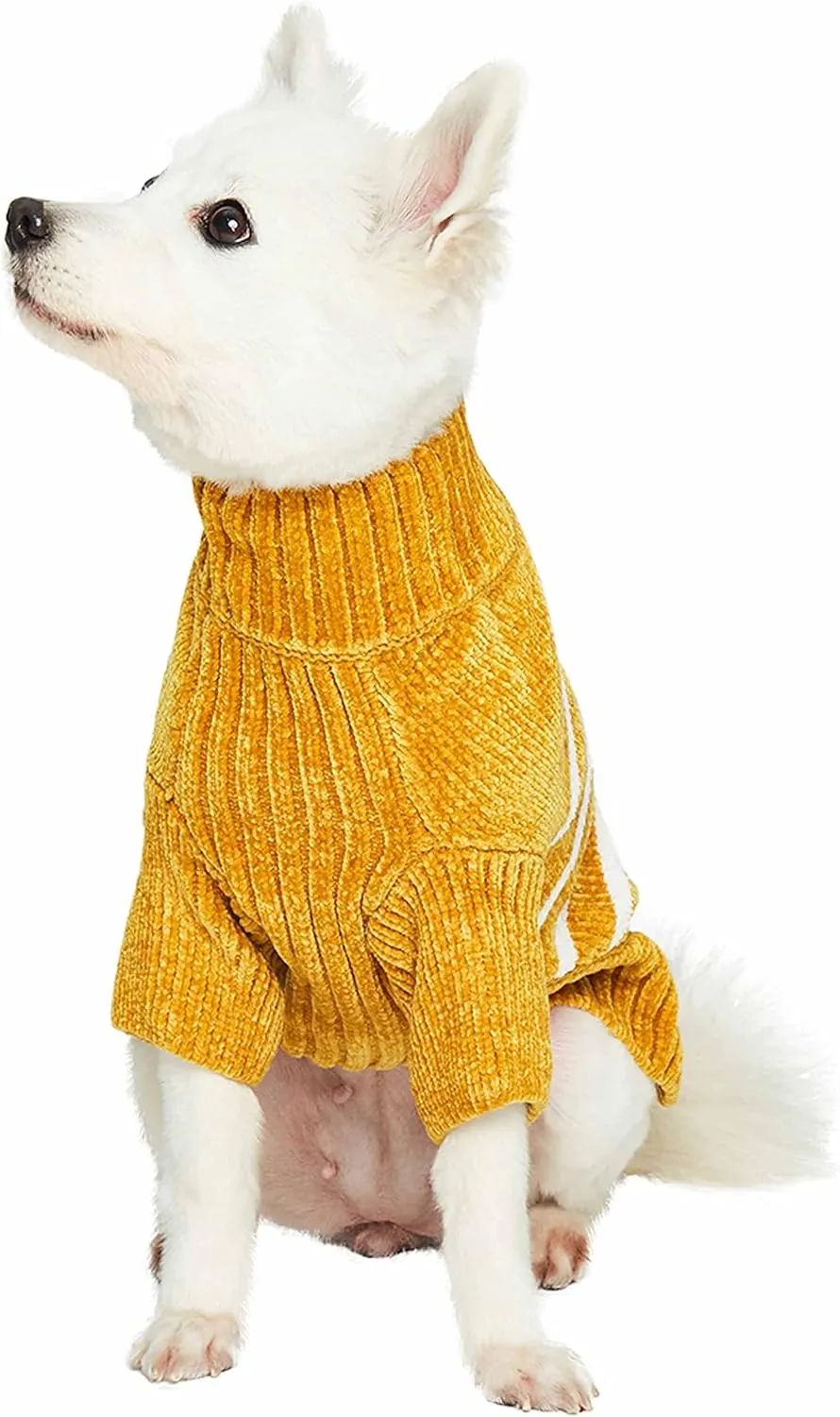 Blueberry Pet Ultra Soft Dog Sweater, Mustard, 10"- Warm Dog Coat for Winter, Coz Dog Sweaters, Small Dog Coat, Soft Dog Fleece Sweater for Small Dog