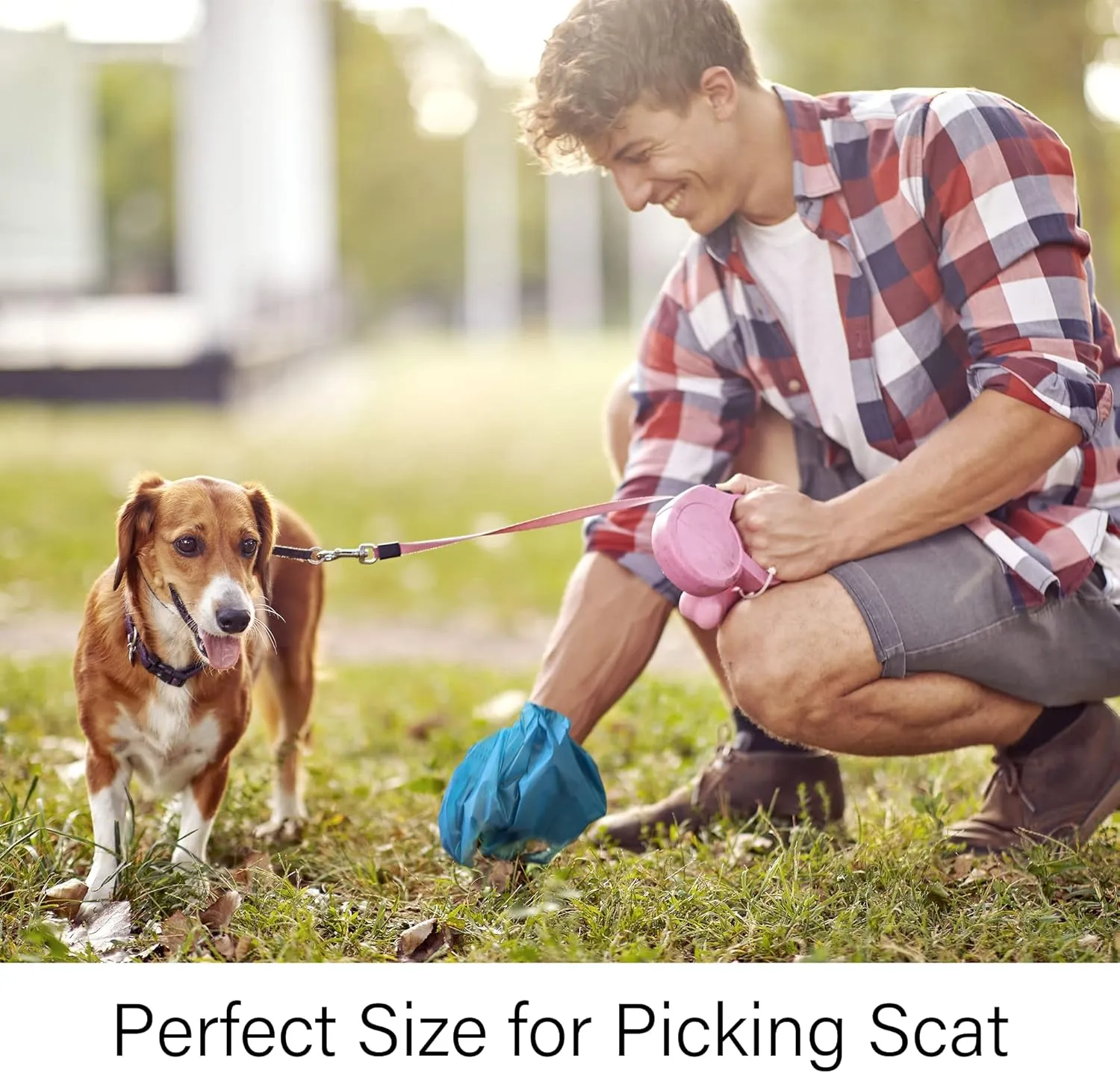 Dog Poop Bags with Handles, Dog Poop Bags Rolls-252 Counts, Doggie Poop Bags, Dog Waste Bags, Certified Compostable, Extra Thick & Leak Proof, Unscented, Eco-Friendly 9 x 13 Inches