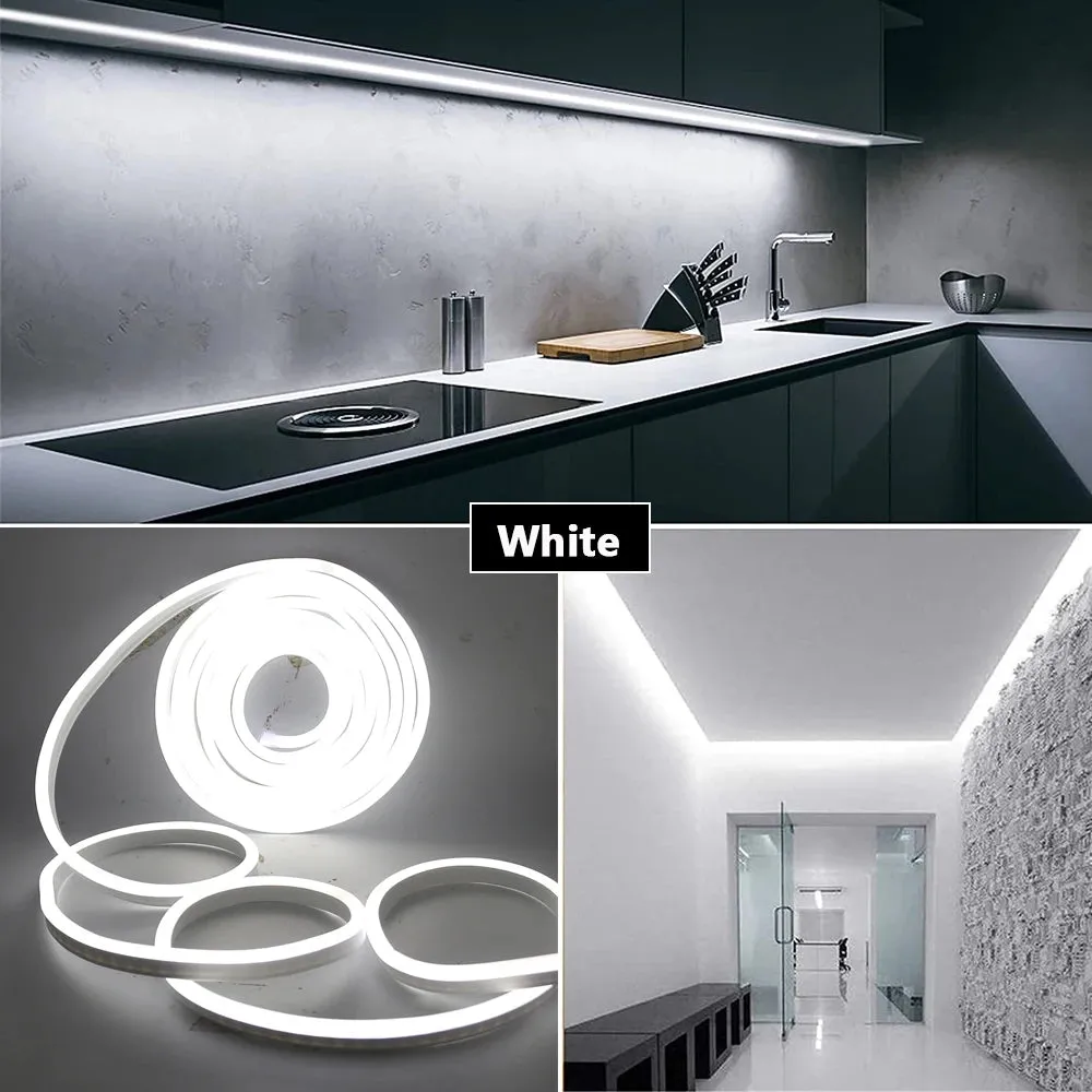 Flexible Waterproof Neon light  5 Meter DC 12V PURE WHITE