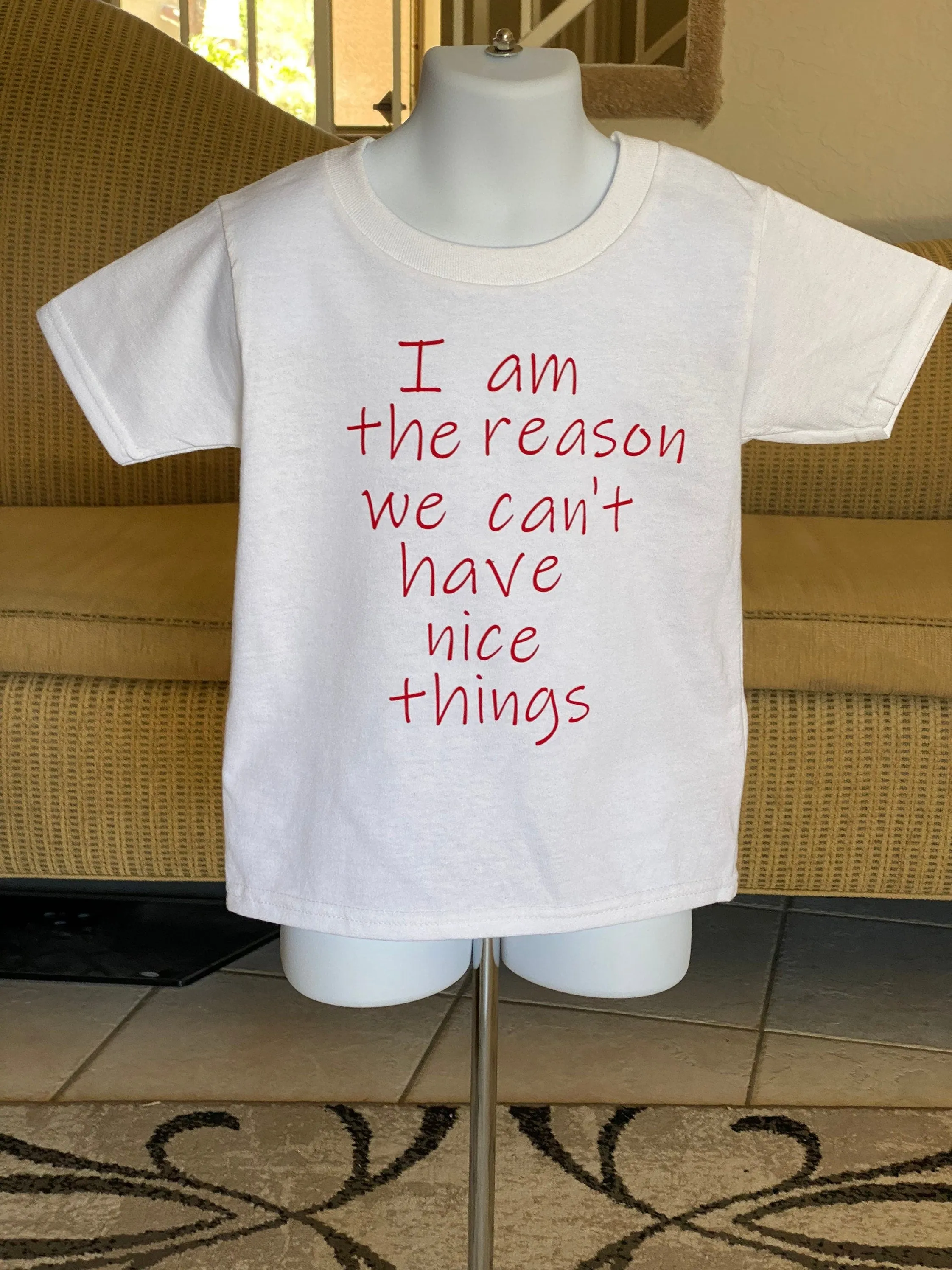 I am the reason we can't have nice things / funny shirt /funny tshirt/funny t shirt / cant have nice things/funny kids shirt/reckless gift