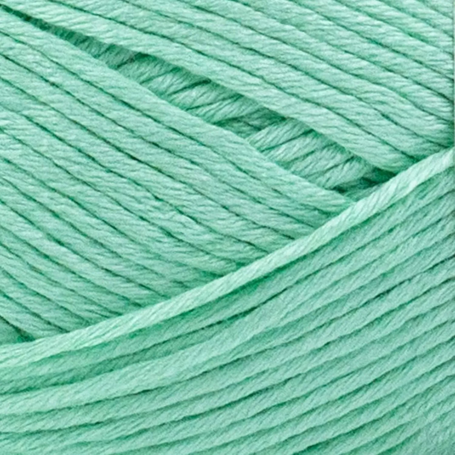 Lion Brand Truboo Mint 837-156 (3-Skeins - Same Dye Lot) DK Light Worsted #3 Rayon Yarn for Crocheting and Knitting with Project Bag