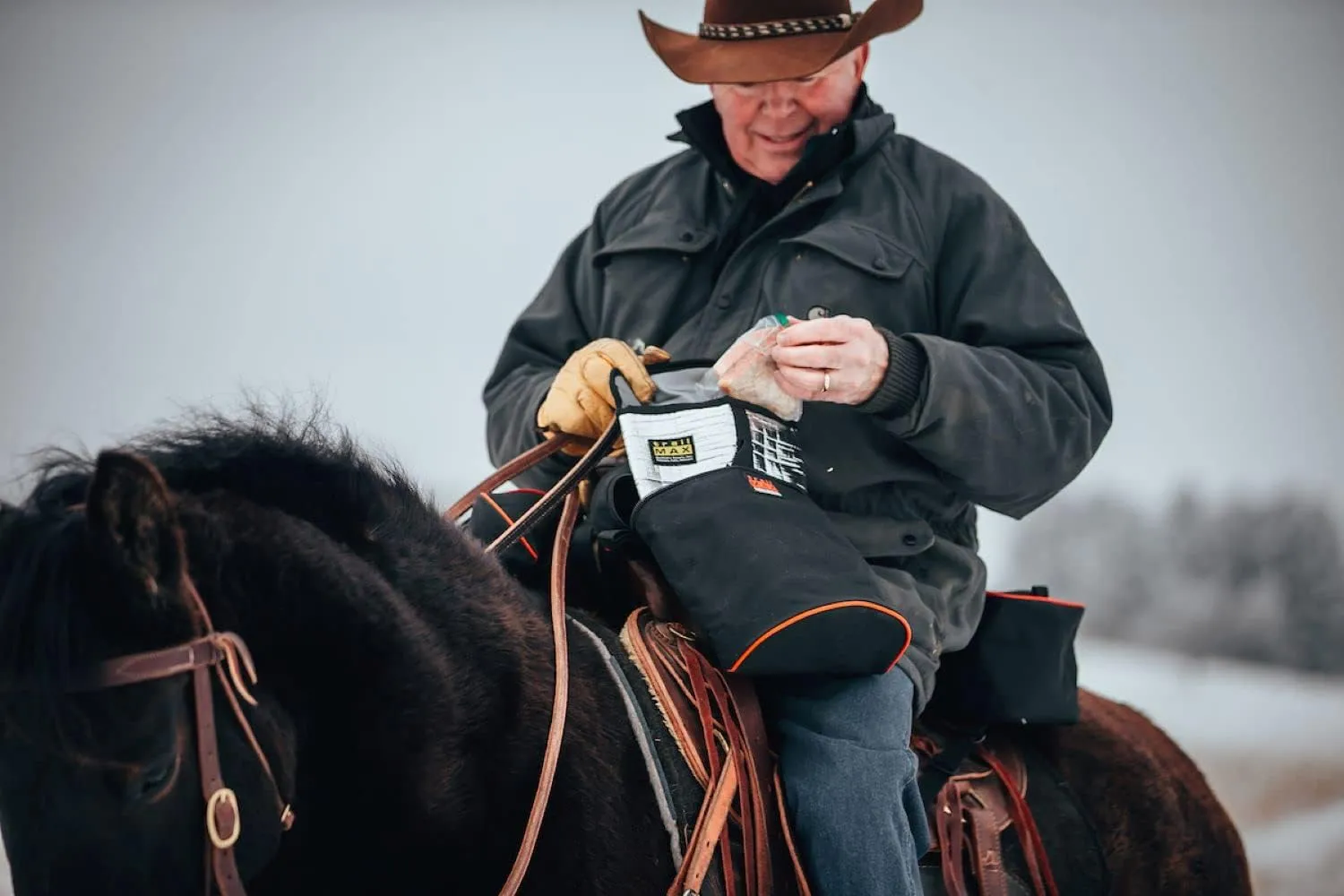 TrailMax Large Horn Saddle Bags; Horn Saddle Bags for Horses; Trail Riding Saddle Bags for Western & Endurance Saddles; Double-Stitched, 600-Denier Poly Saddle Bags